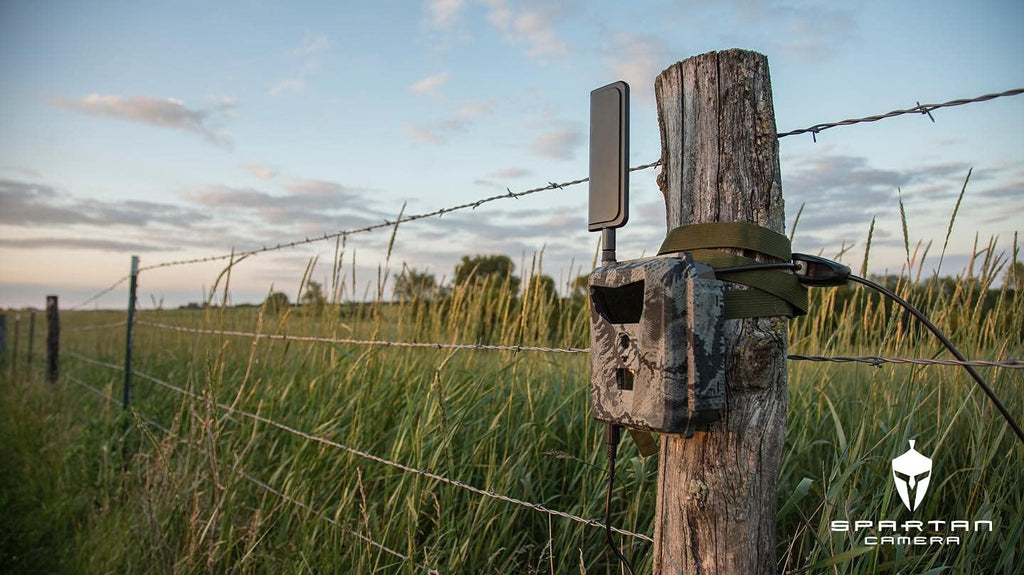 Cellular Scouting Camera with Steel Security Box U9951
