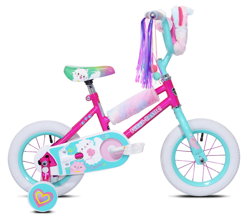 Pink and Blue Bicycle W93085