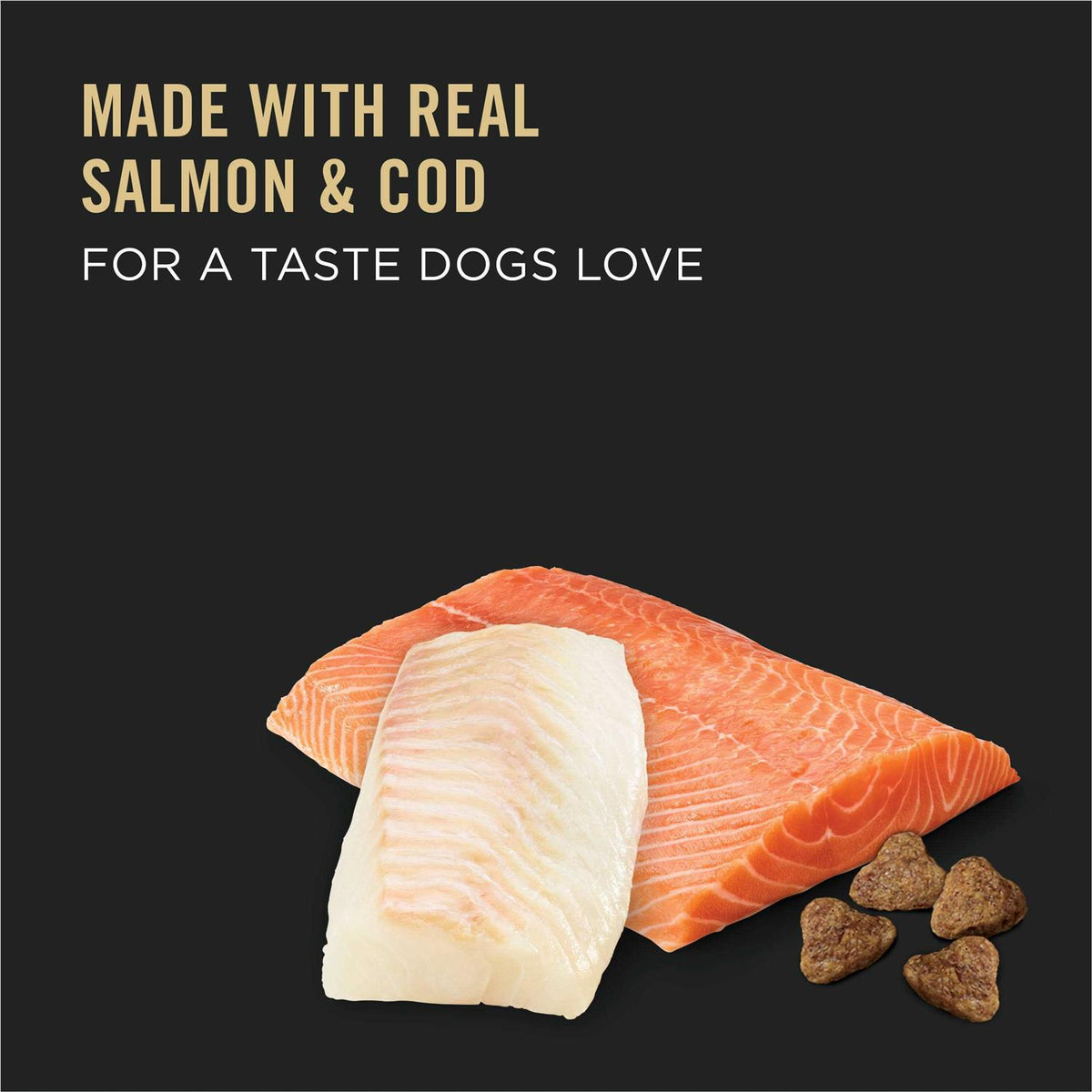 Dry Dog Food K92990
