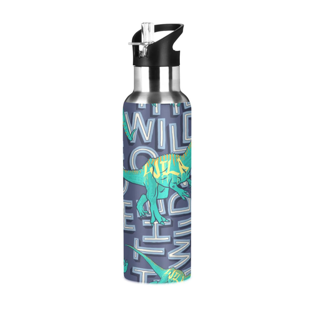 Stainless Steel Insulated Water Bottle with Straw Lid X964