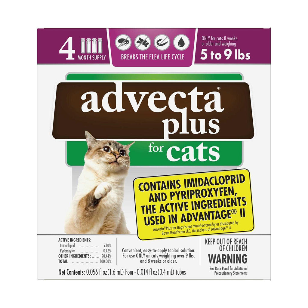 Flea Protection for Small Cats V40768