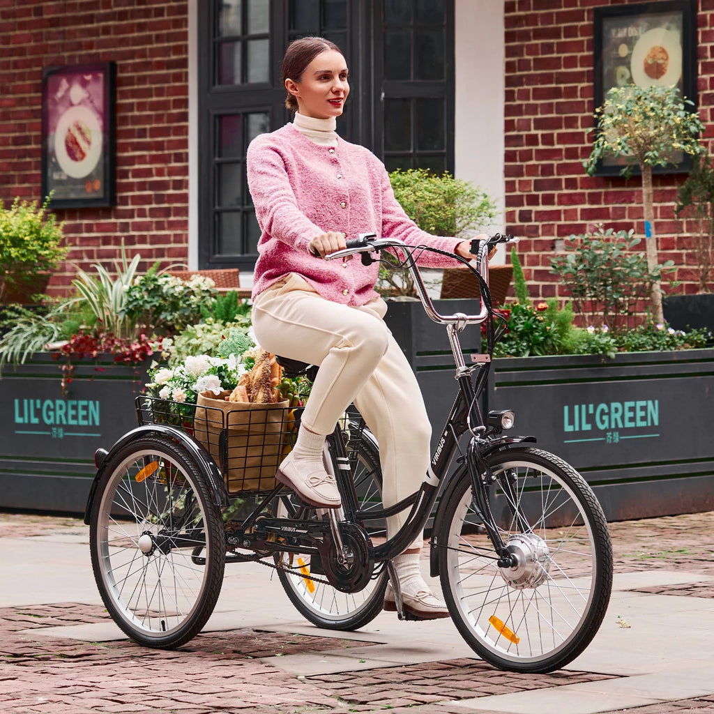 Black 250W 3 Wheel Electric Tricycle Z26712