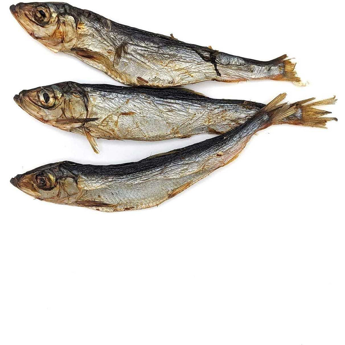Dog Herring Fish Whole R411