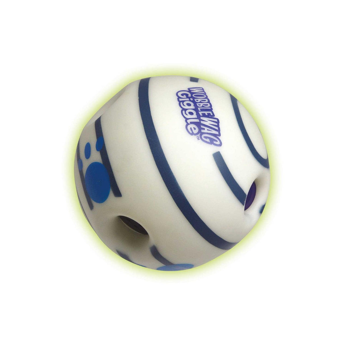 Glow in the Dark Interactive Dog Toy R649751