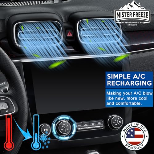 R134a Refrigerant Car AC Recharge Kit 14 Oz N70615