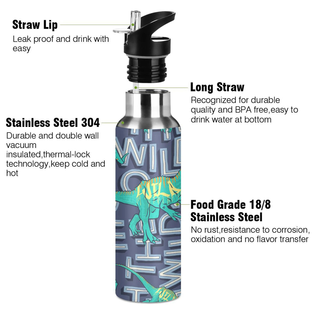 Stainless Steel Insulated Water Bottle with Straw Lid X964