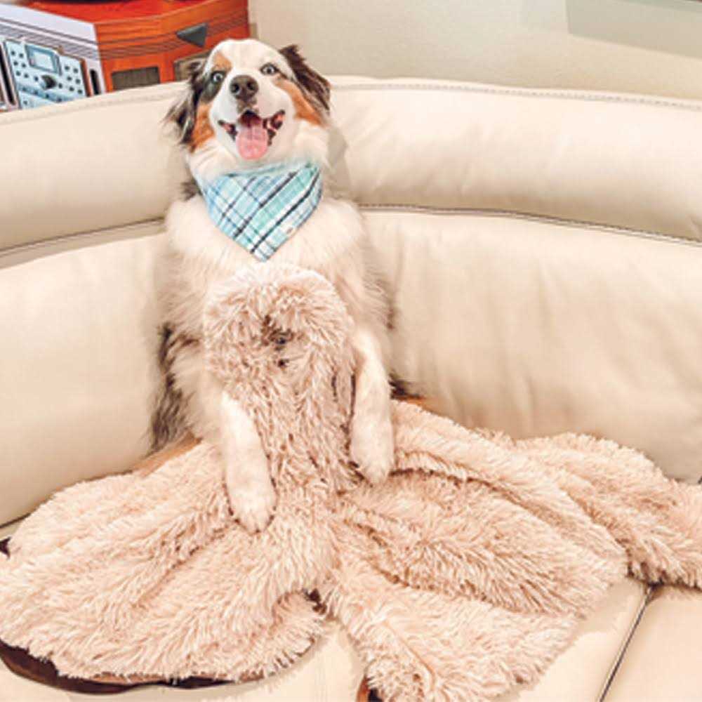 Throw Blanket A482501