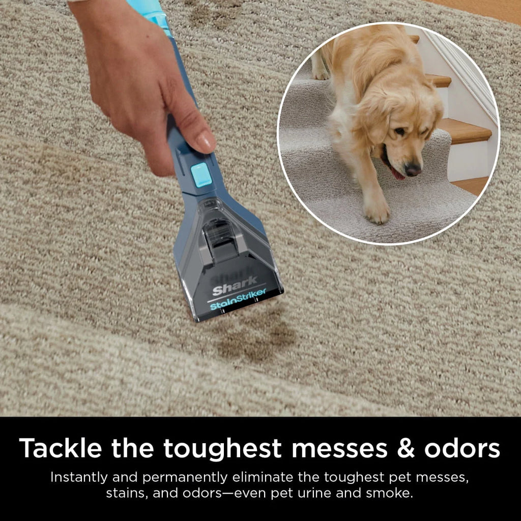Portable Carpet & Upholstery Cleaner J925