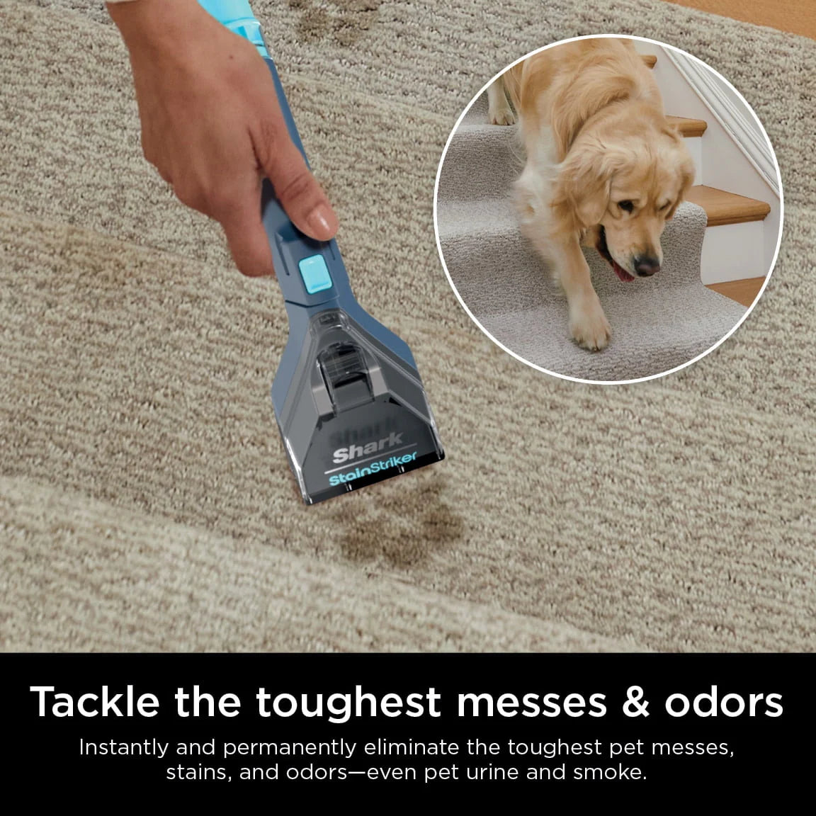 Portable Carpet & Upholstery Cleaner J925