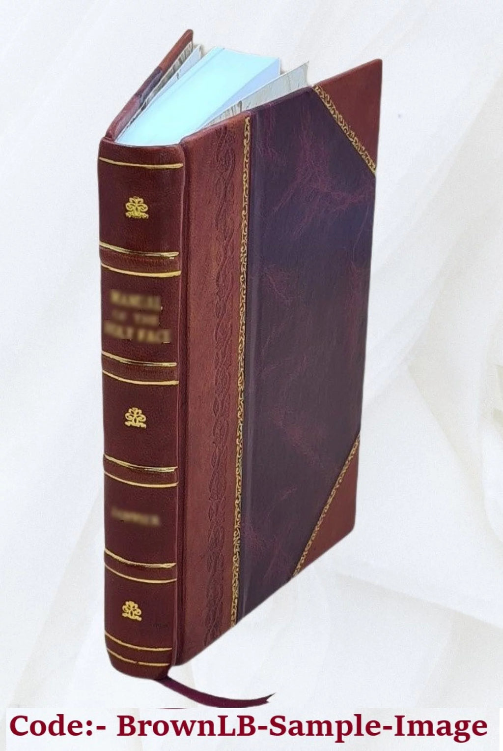 Leather Bound Z1190